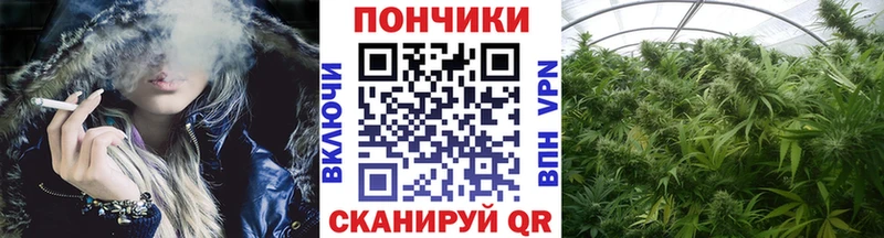 МАРИХУАНА SATIVA & INDICA  купить  сайты  Воскресенск 